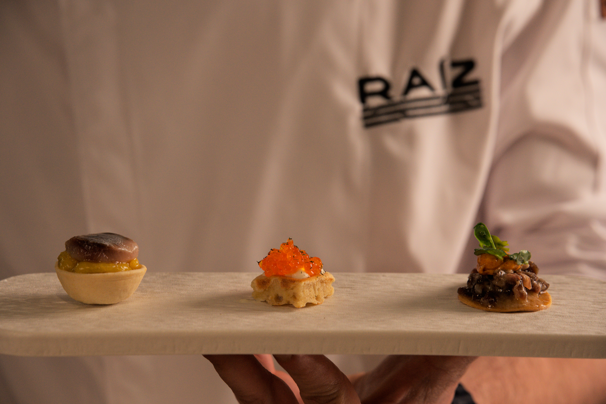 Raíz: professional food presentation and branding