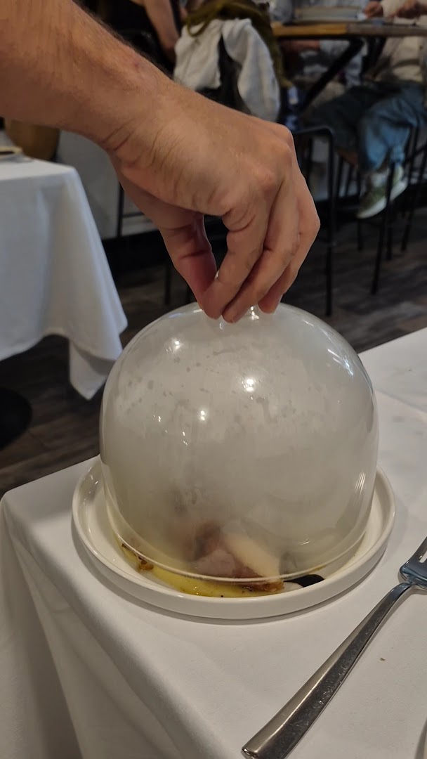 Vinomio: appealing presentation of served dish