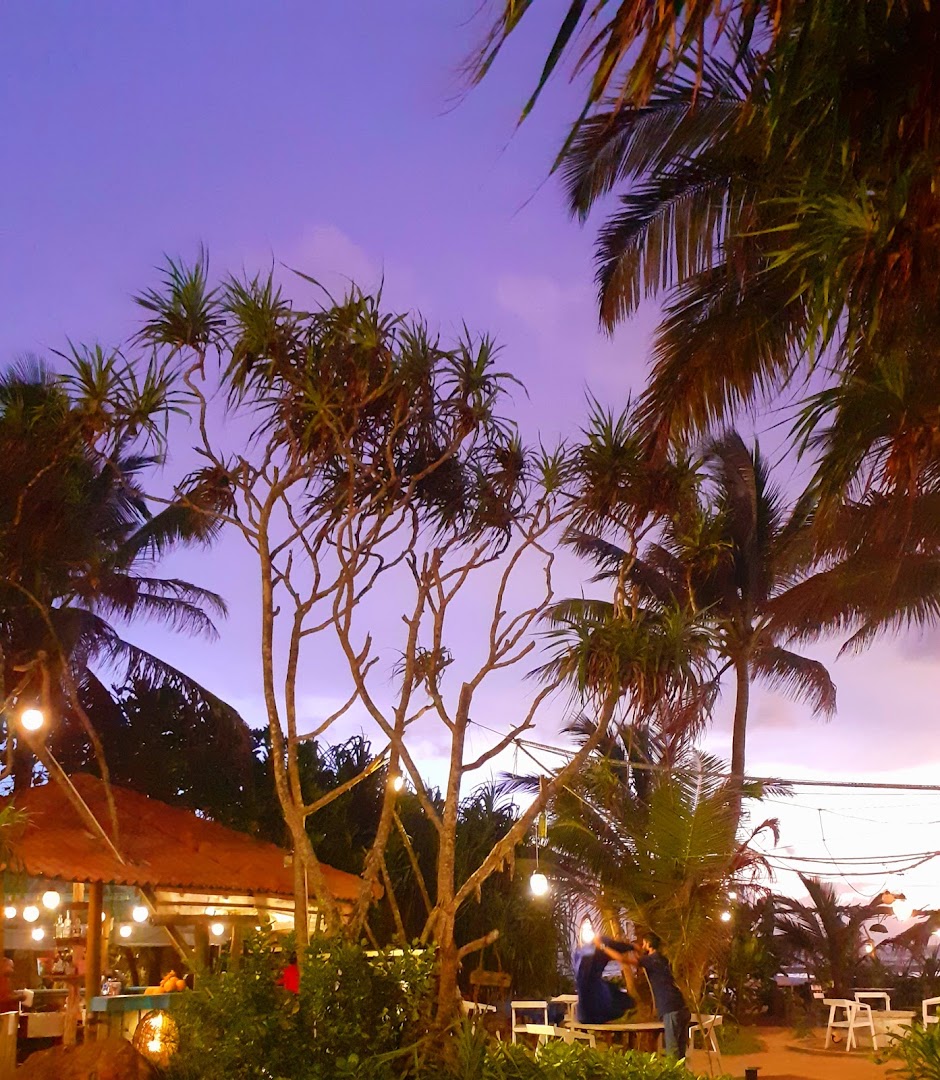 The Wave Beach Restaurant: beautiful atmospheric beach restaurant shot