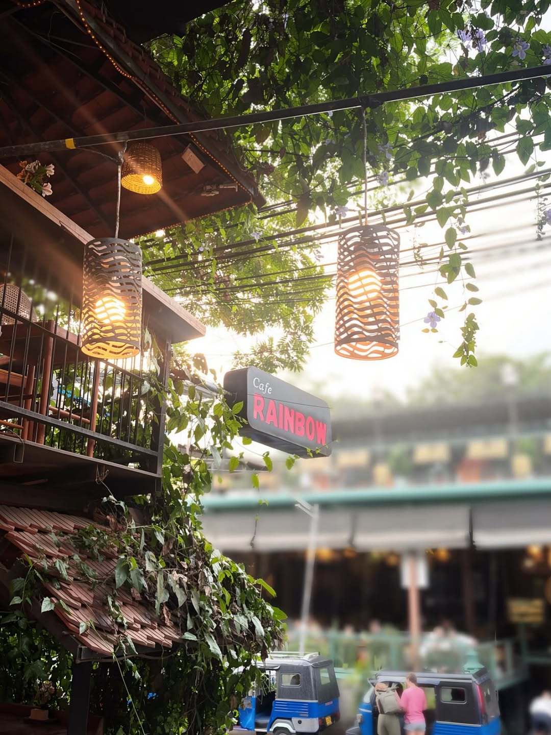 Rainbow Cafe: attractive and inviting venue atmosphere