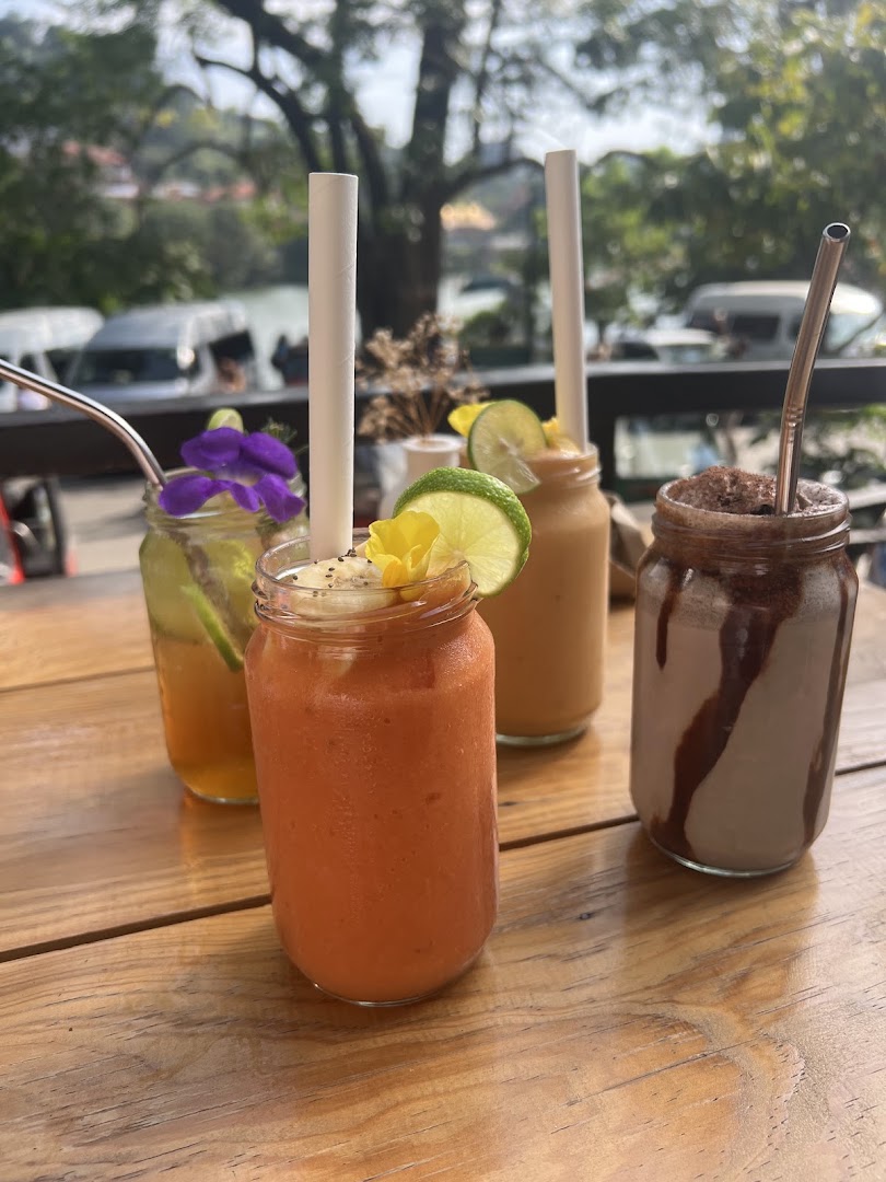 Temple Brew Coffee: appetizing photo of cafe drinks