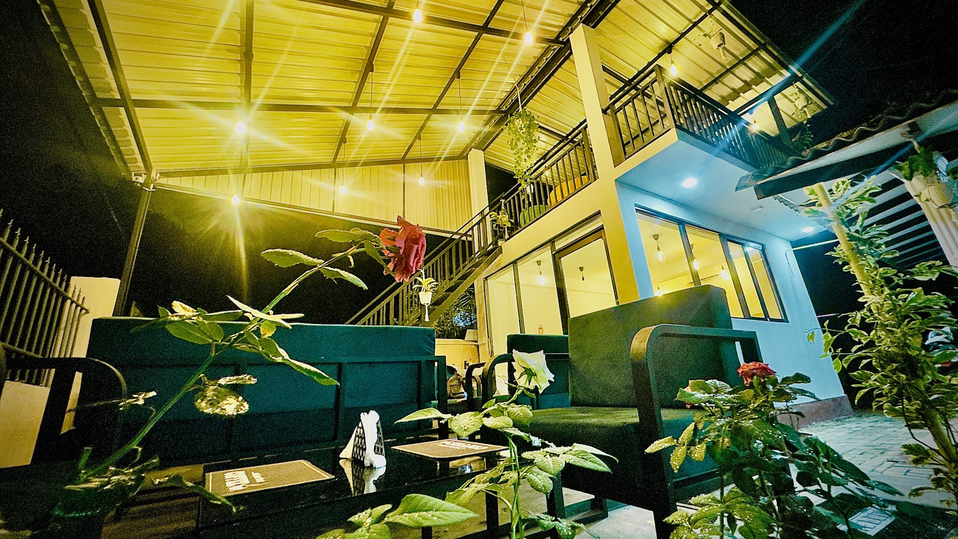 Sigiri Brews: inviting atmosphere and clear composition