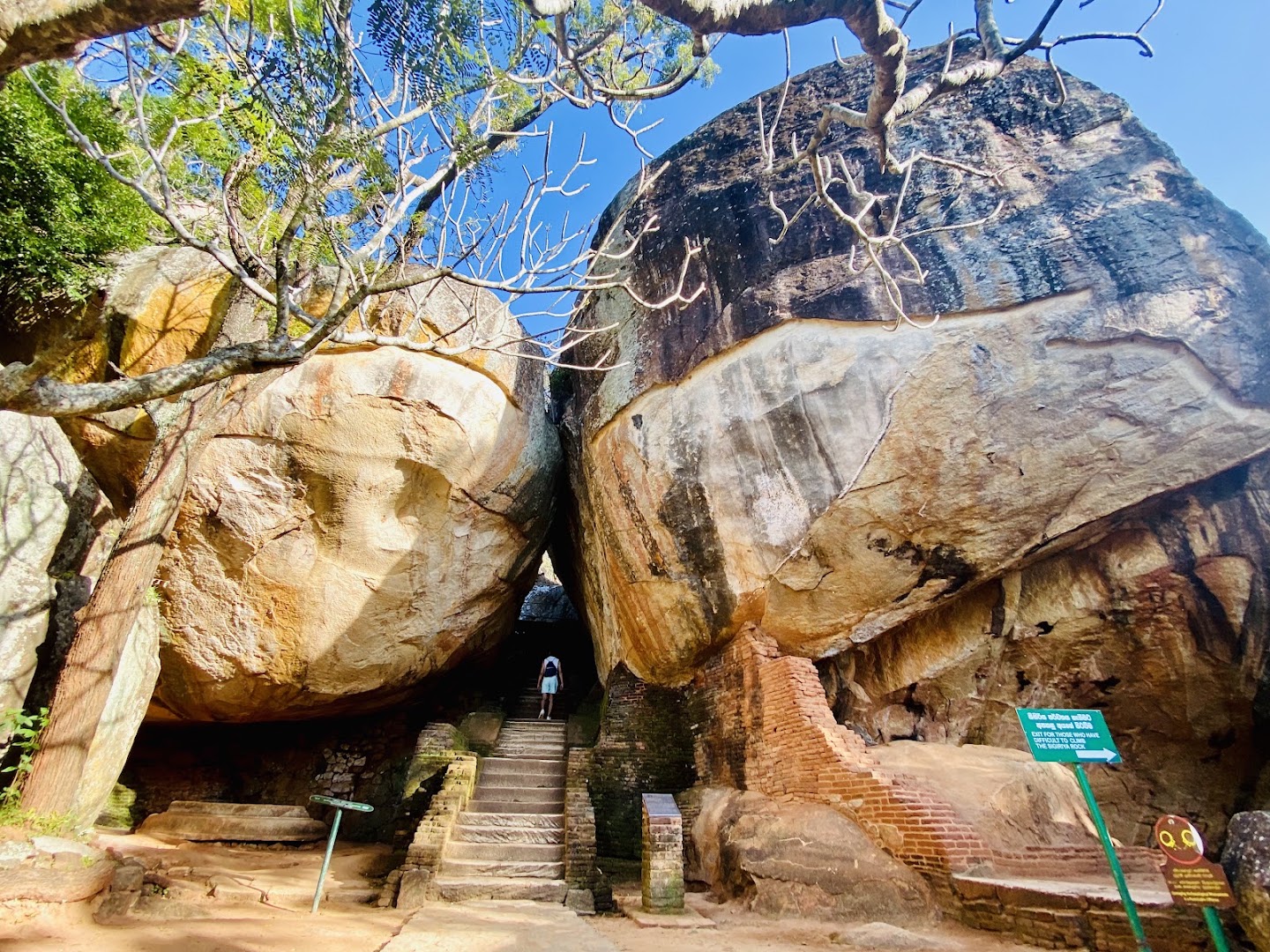 Sigiriya Rock Fortress: clear view of the site