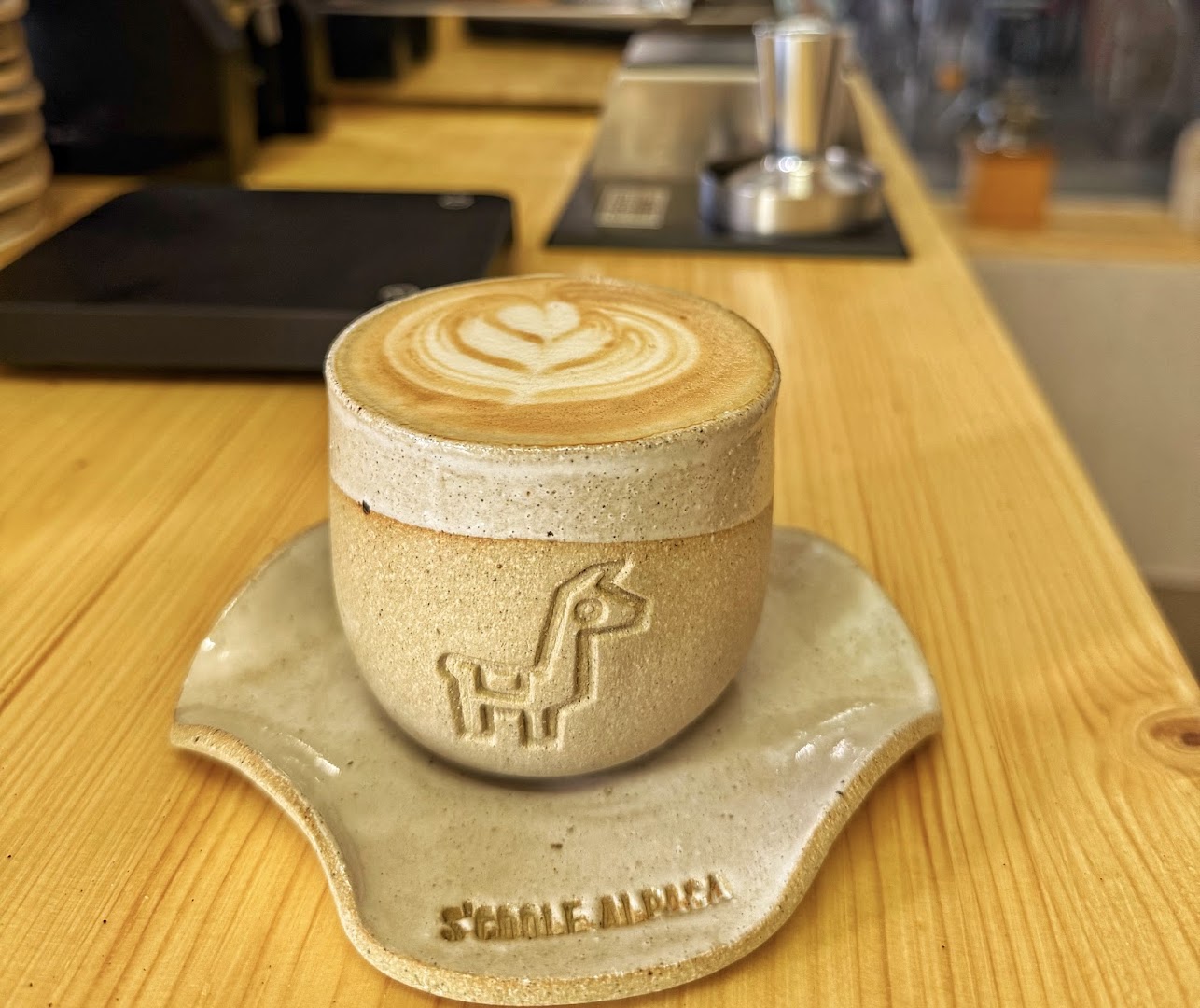 S'coole Alpaca: high quality, appealing drink photo