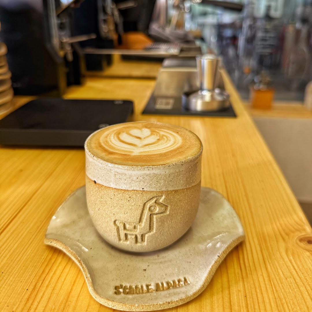 S'coole Alpaca: high quality, appealing drink photo