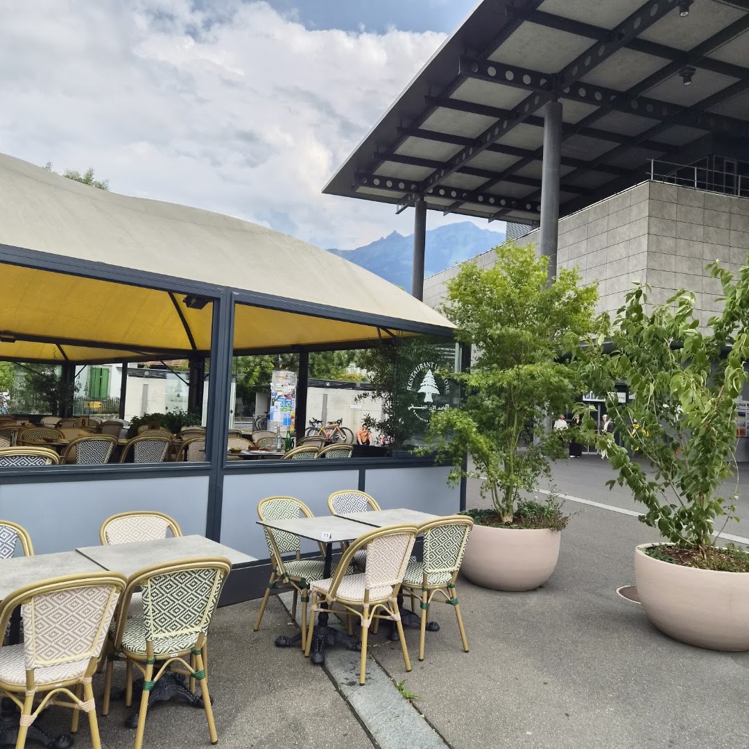 Le Cèdre: clear photo of restaurant terrace