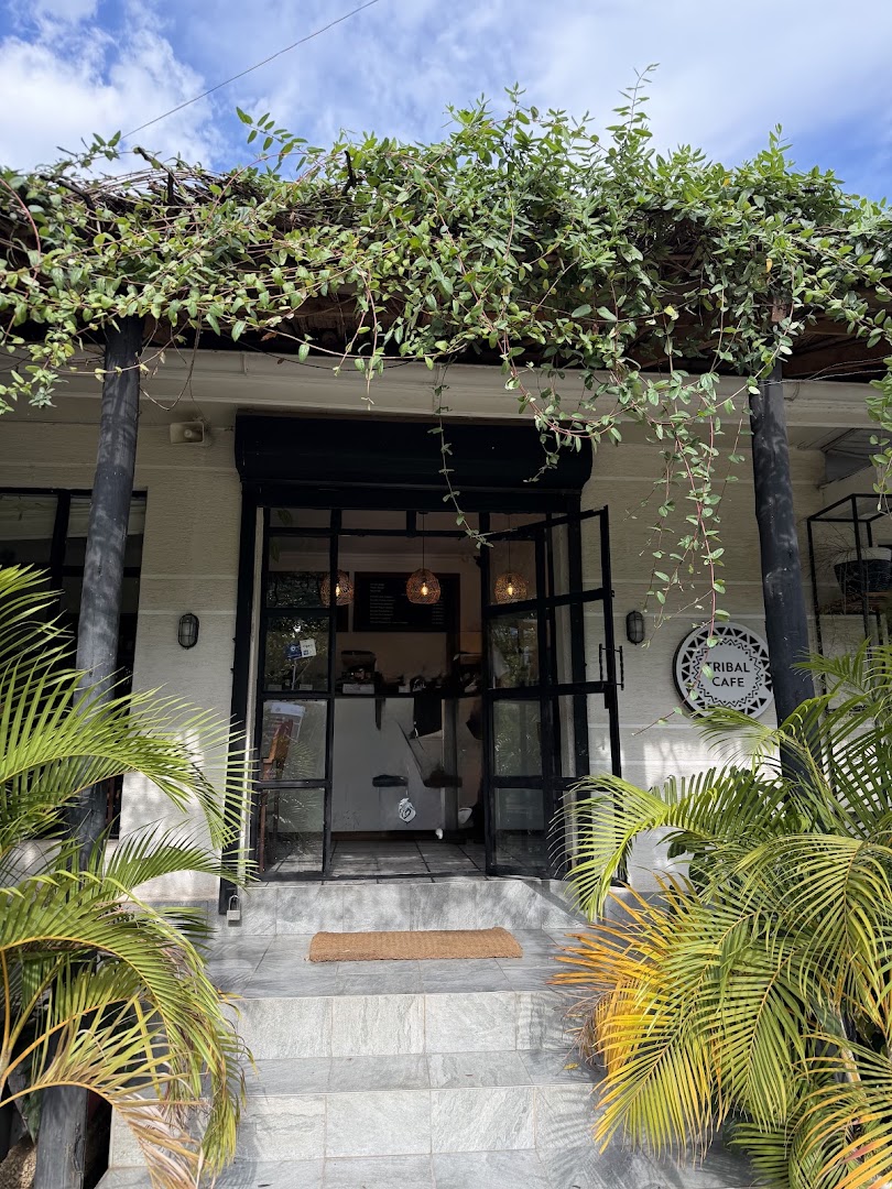 Tribal Cafe: attractive and clear venue exterior