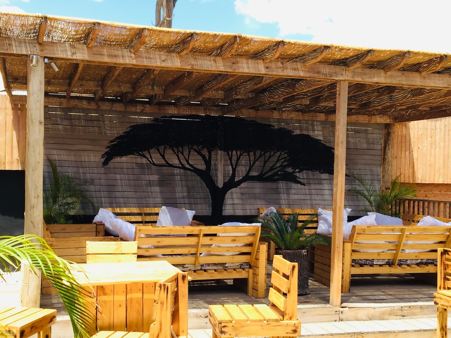 Backyard Lounge: attractive outdoor lounge area