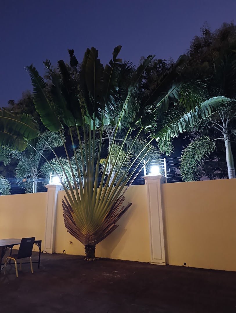 The New Kiboko Tanga: pleasant restaurant outdoor atmosphere