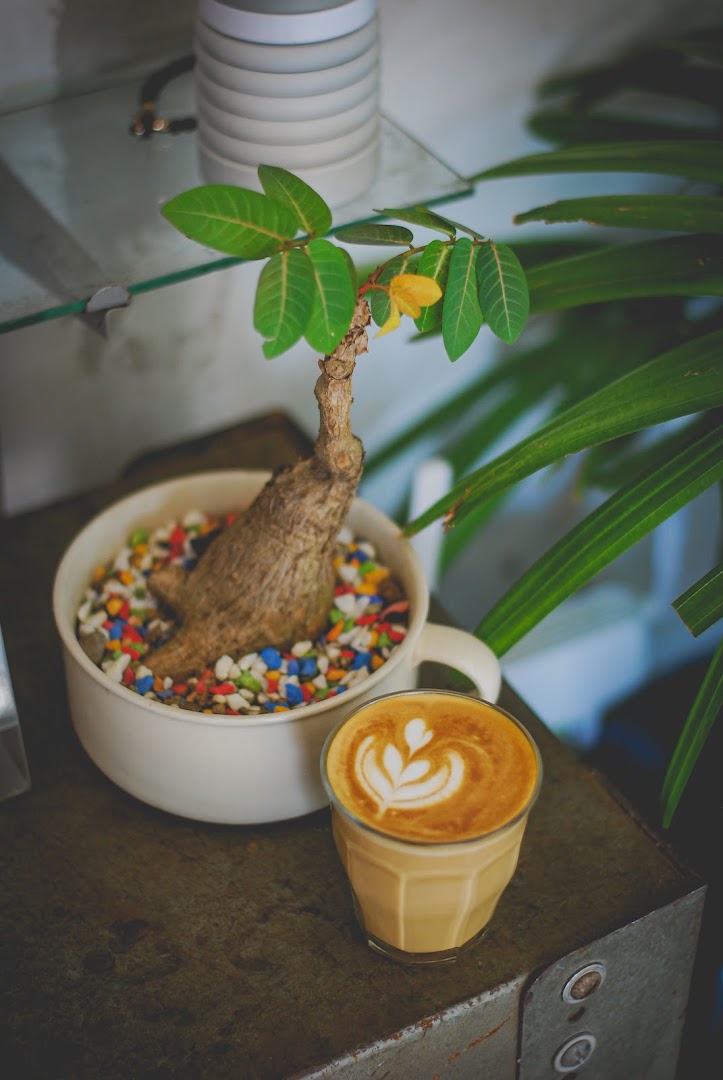 GRASP 1981 Espresso Bar: high quality aesthetic coffee photo