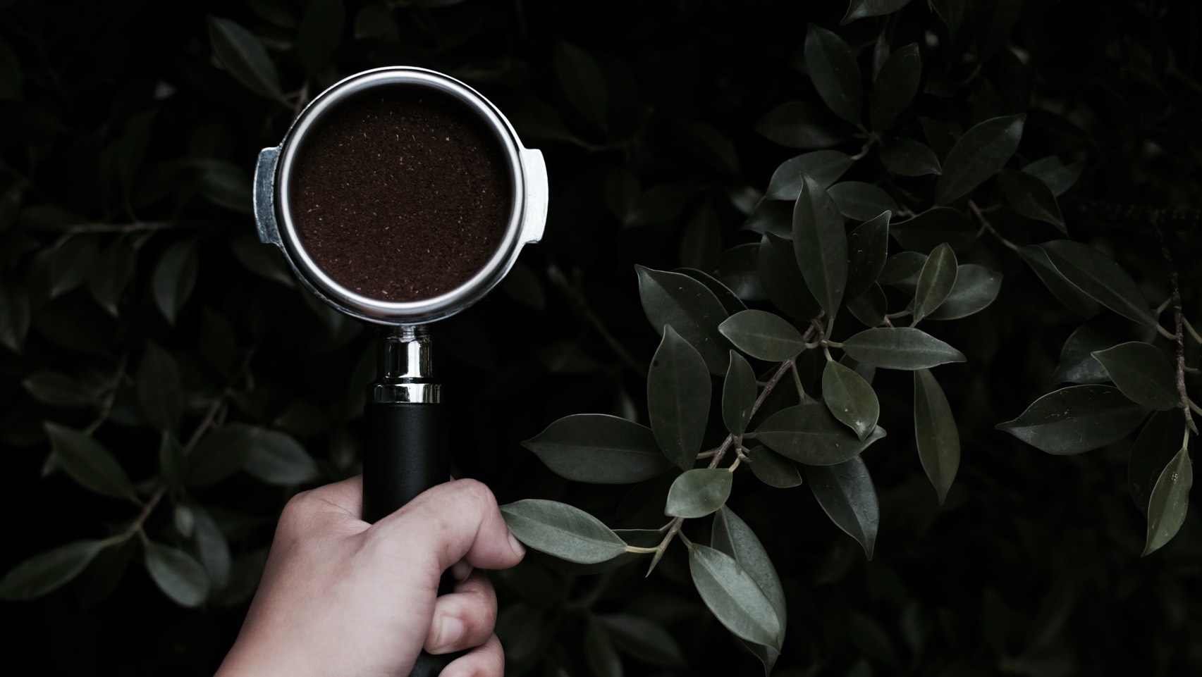 Rakuda: high quality, artistic coffee shot