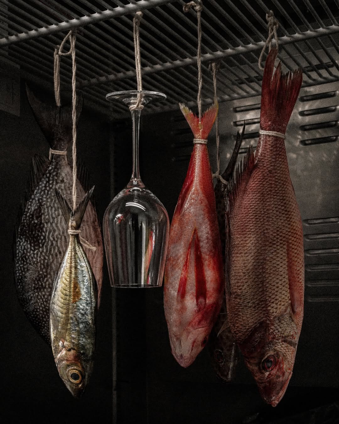 Bisou: artistic, high-quality food photography