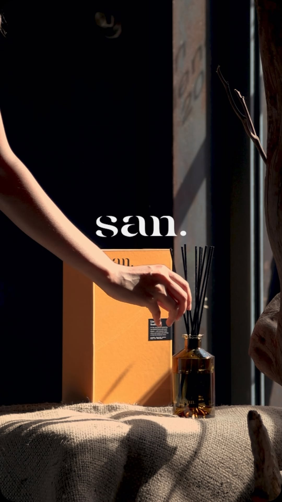 SAN Original Scent Store: professional product display and atmosphere