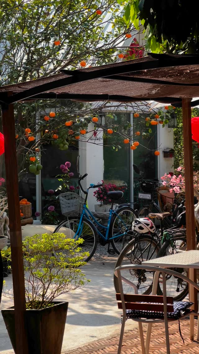 Dream Cafe: inviting and atmospheric terrace view