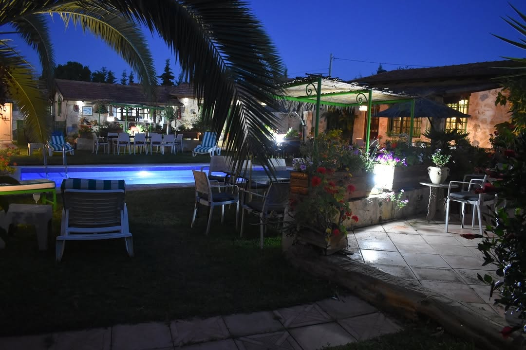 Terra Olivera: inviting and atmospheric evening shot