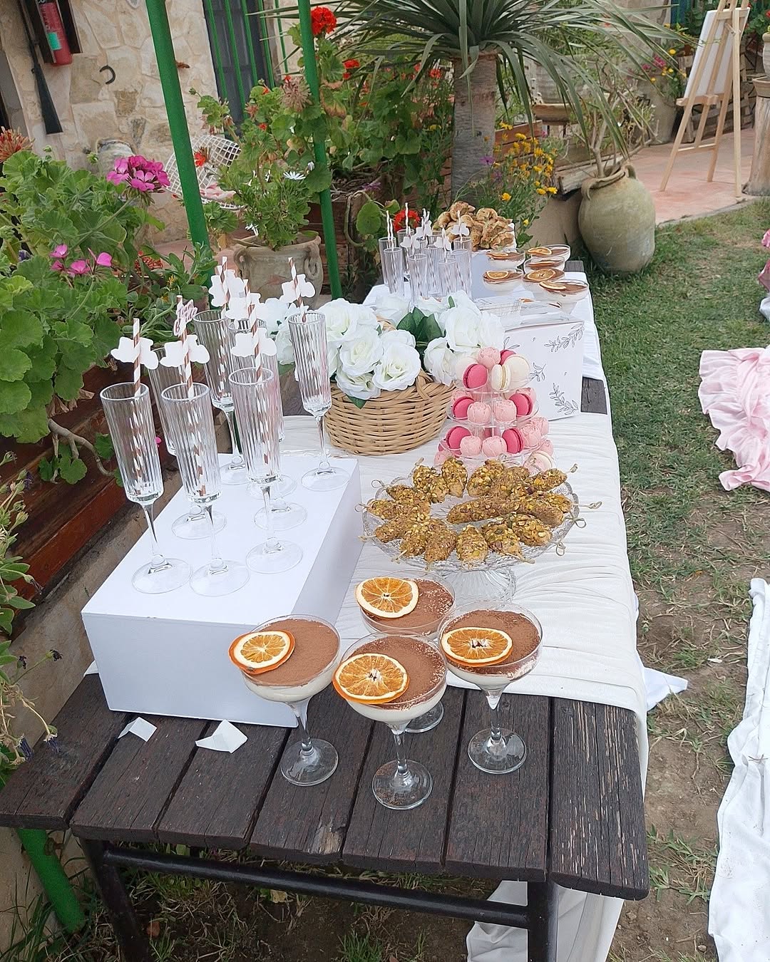 Terra Olivera: appetizing display of restaurant food