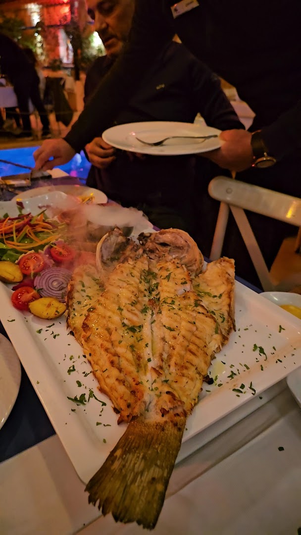 Ayar Meyhanesi: appetizing food presentation at restaurant