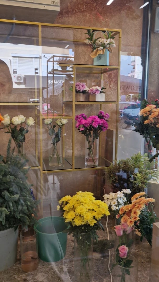 Flower Bar Antalya: clear display of shop products