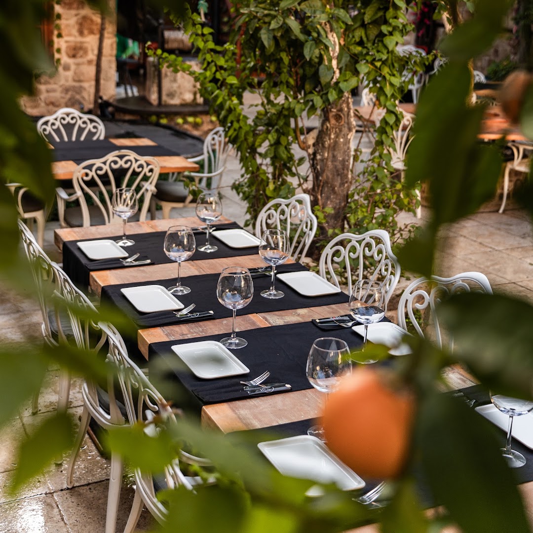IVA Gastrobar & Sushi: attractive, professional restaurant atmosphere shot