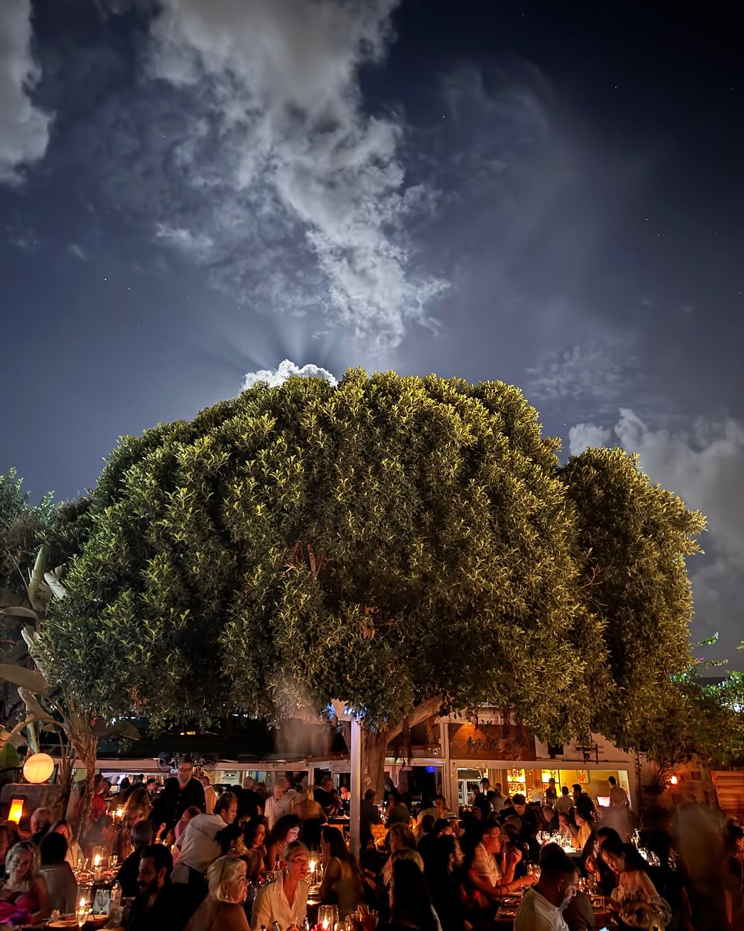 Miam: atmospheric shot of venue interior