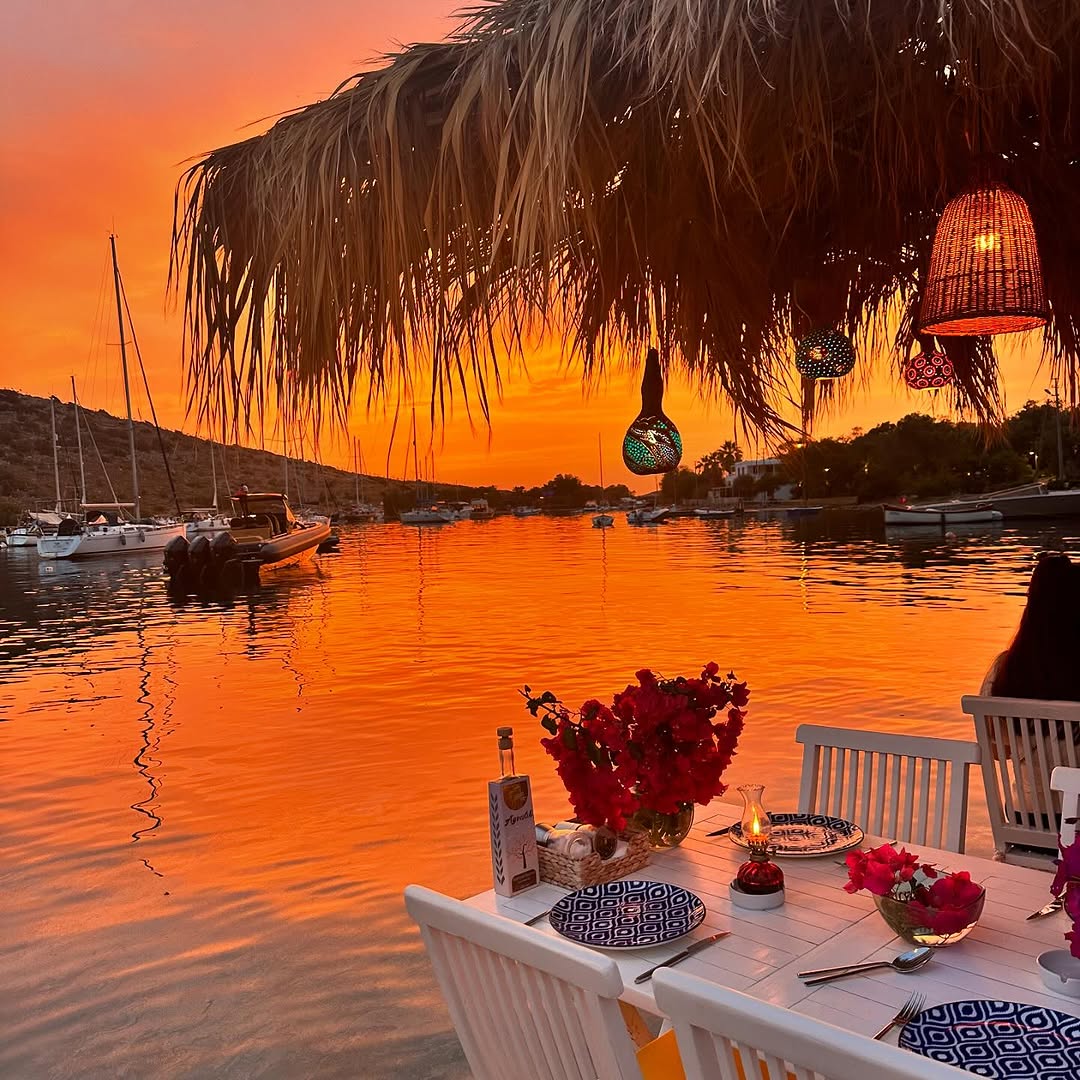 Mimoza: stunning atmosphere and professional quality