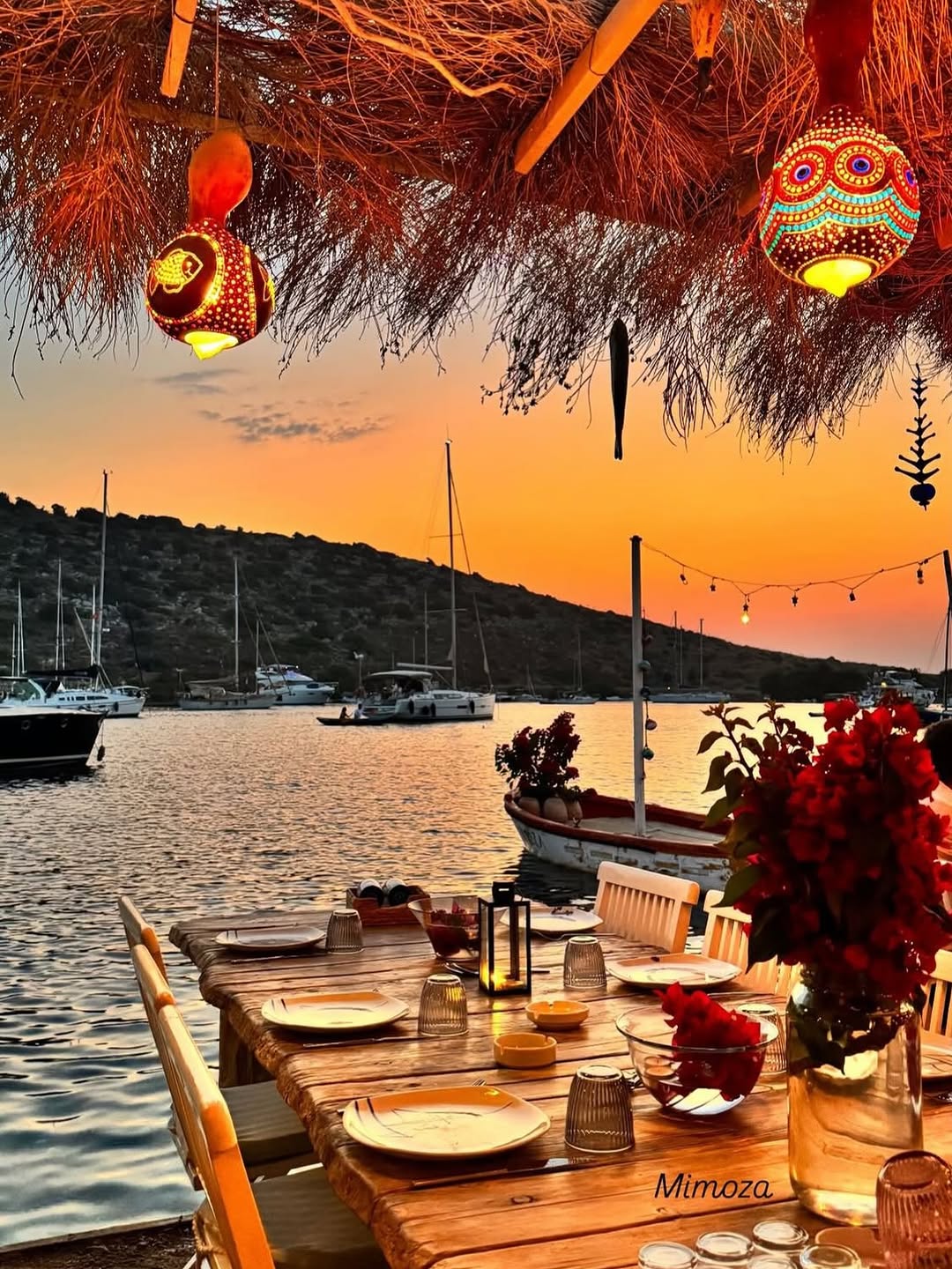 Mimoza: beautiful atmosphere and professional quality
