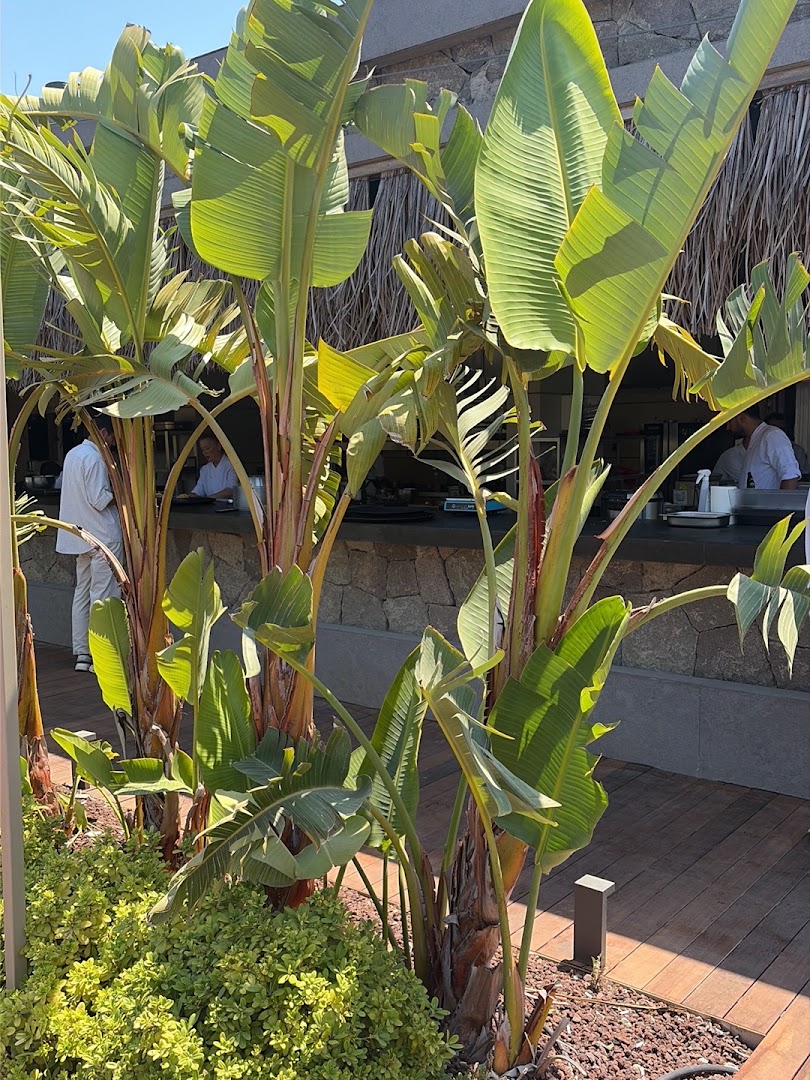 The Casa Cala: inviting atmosphere and professional quality