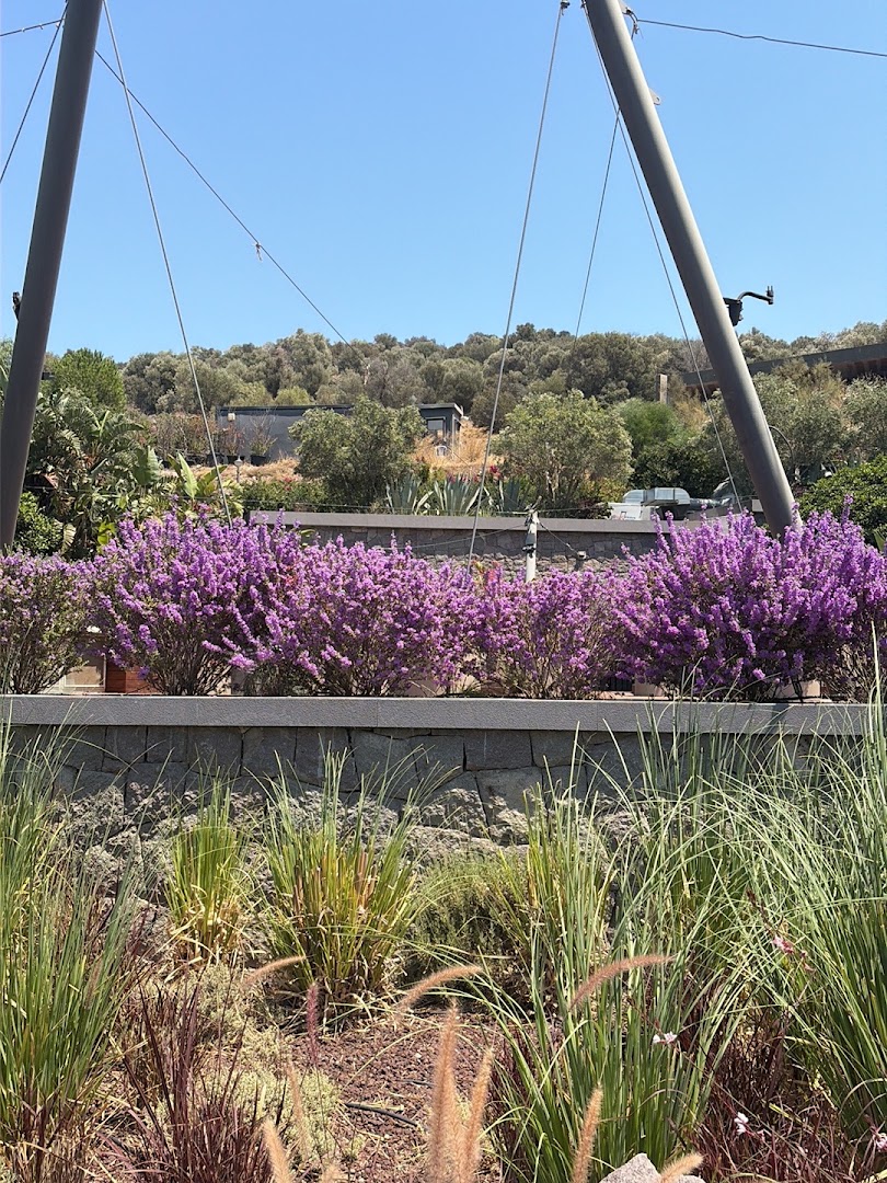 The Casa Cala: beautiful hotel exterior landscaping