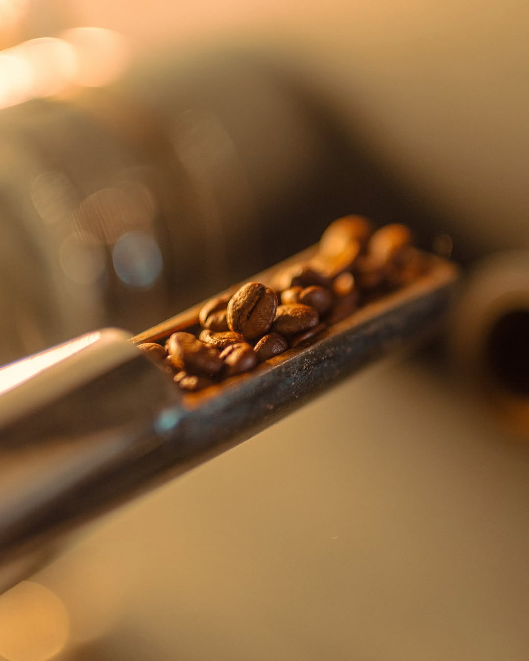 Sovi Cappadocia: high quality artistic coffee shot