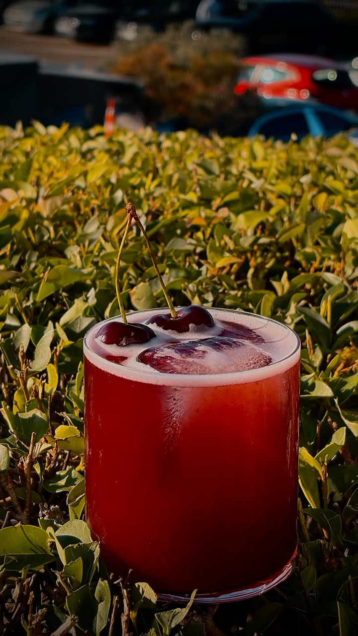 Dafni Ateşbaşı: appealing professional cocktail photography