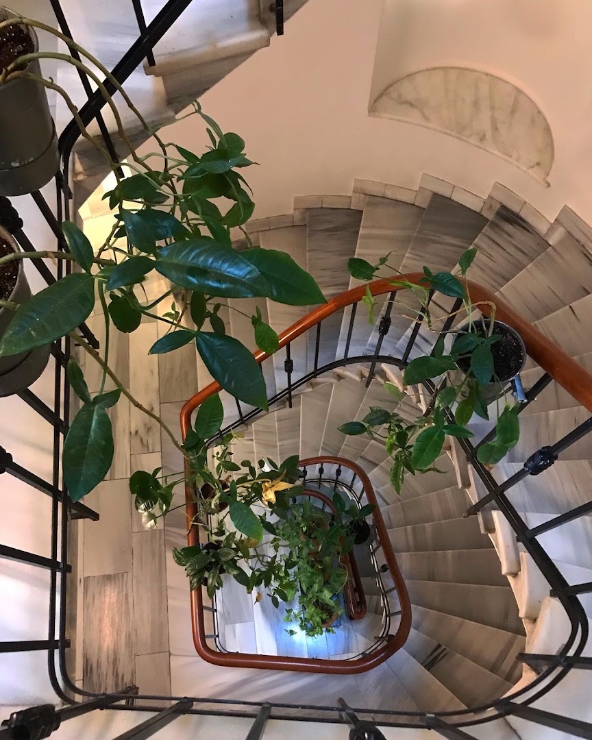 Postane: aesthetically pleasing interior staircase shot