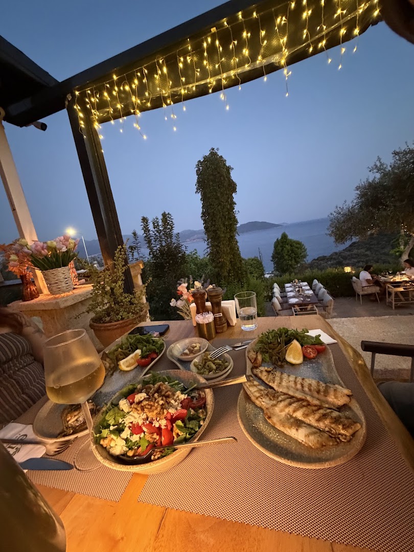 Elia Restaurant: beautiful atmosphere and appetizing food