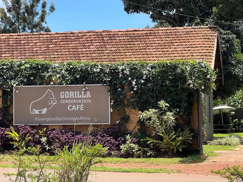 Gorilla Conservation Café: clear exterior shot of venue