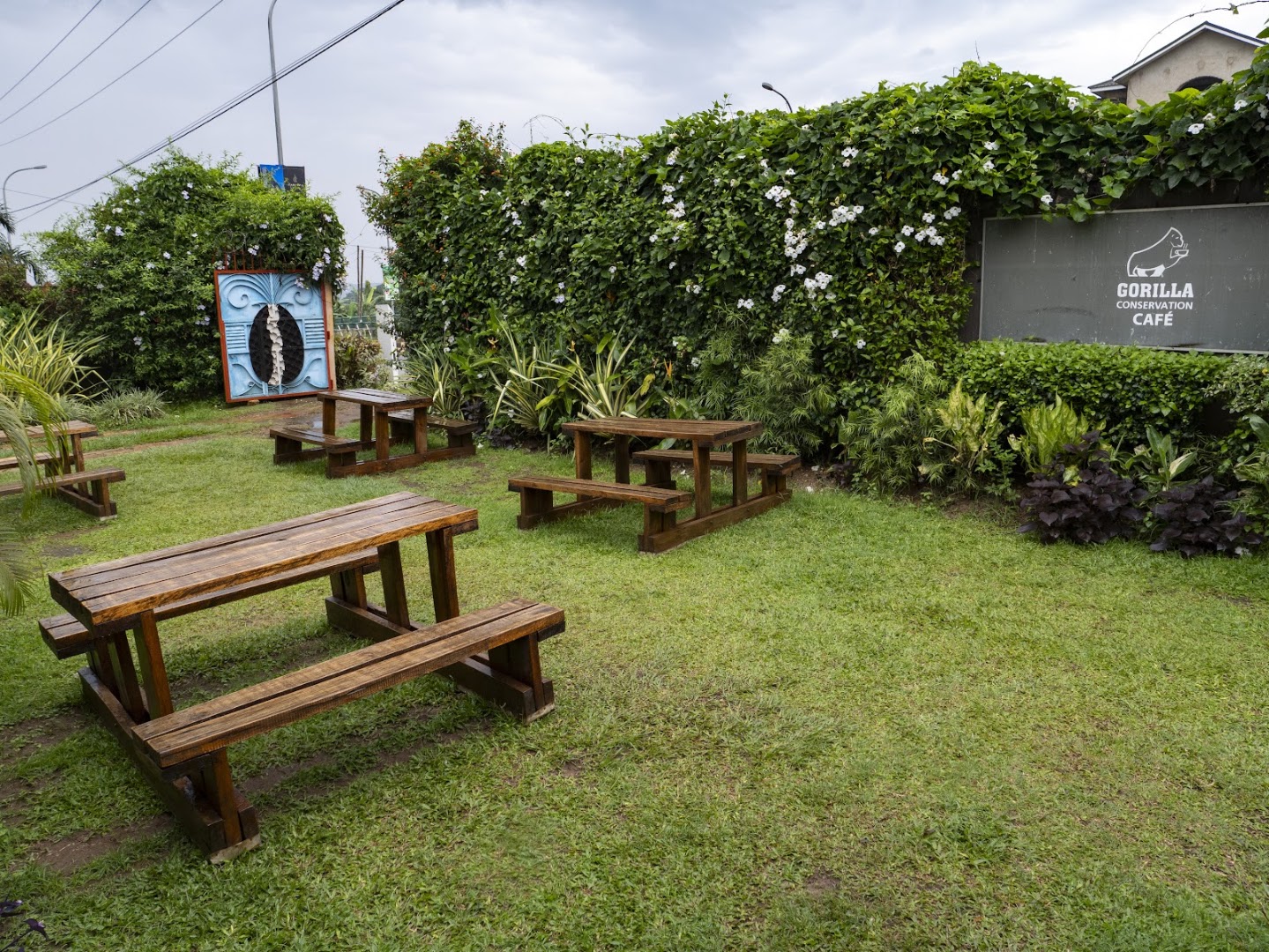 Gorilla Conservation Café: pleasant outdoor seating area
