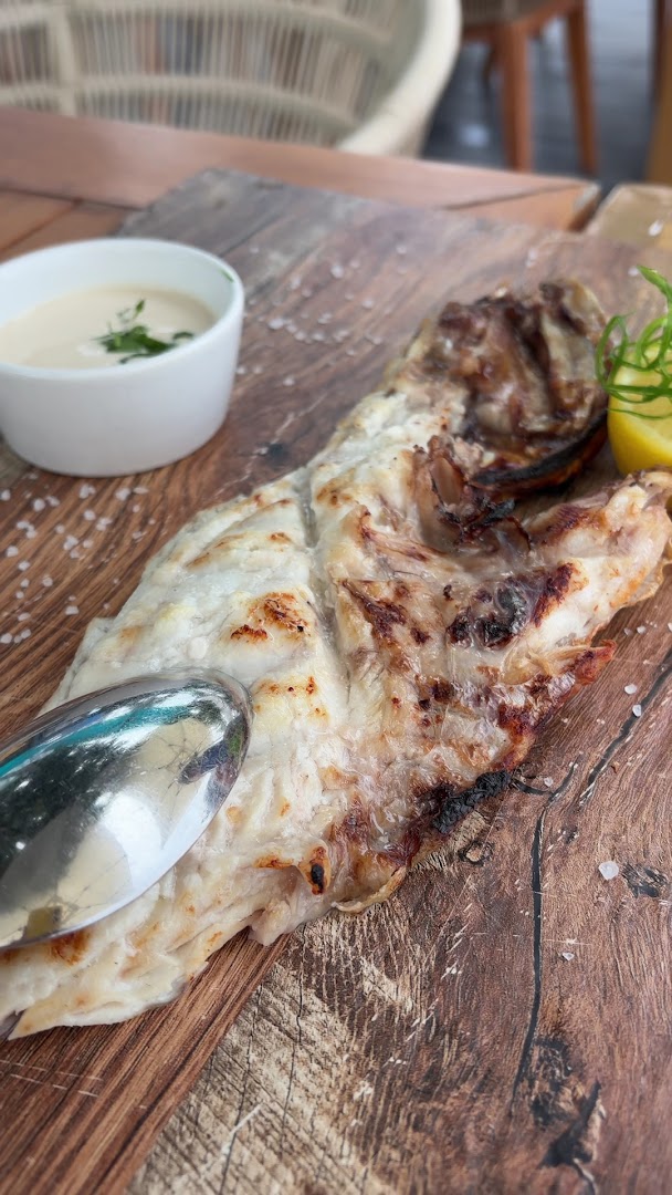 Ibn AlBahr: appetizing high quality food photo