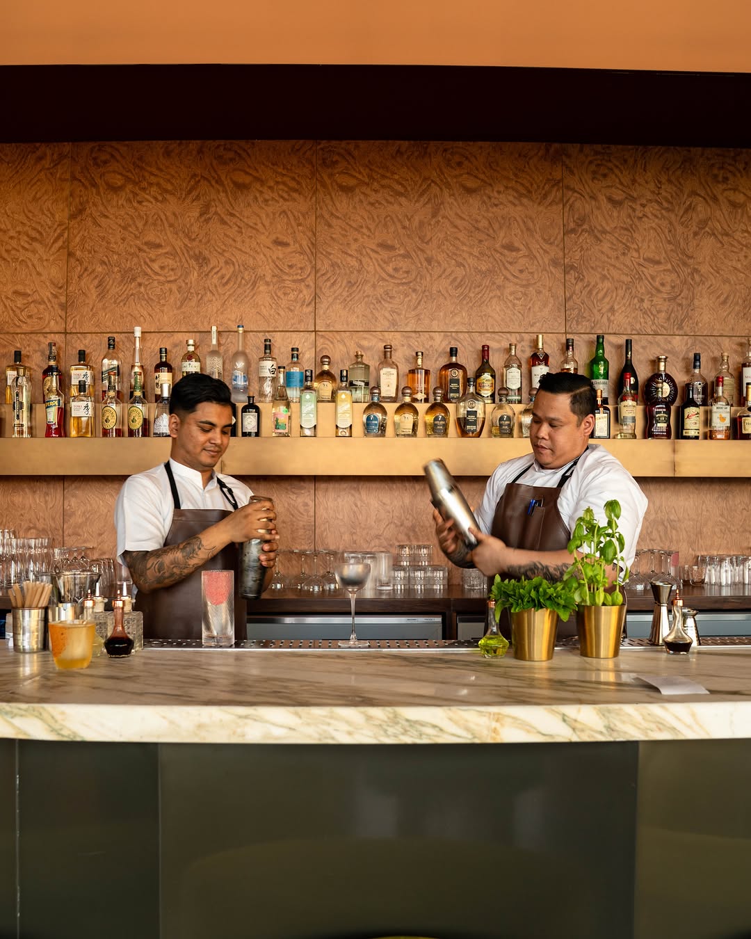 Apollo: professional photo of staff working