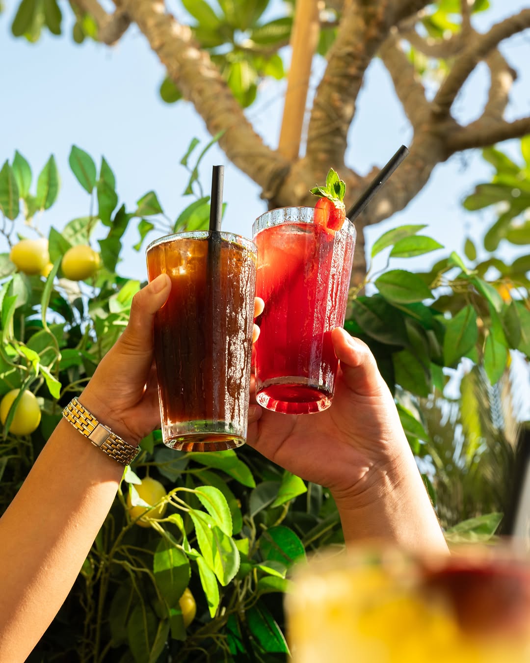 FALCONE: high quality, appealing drink photo