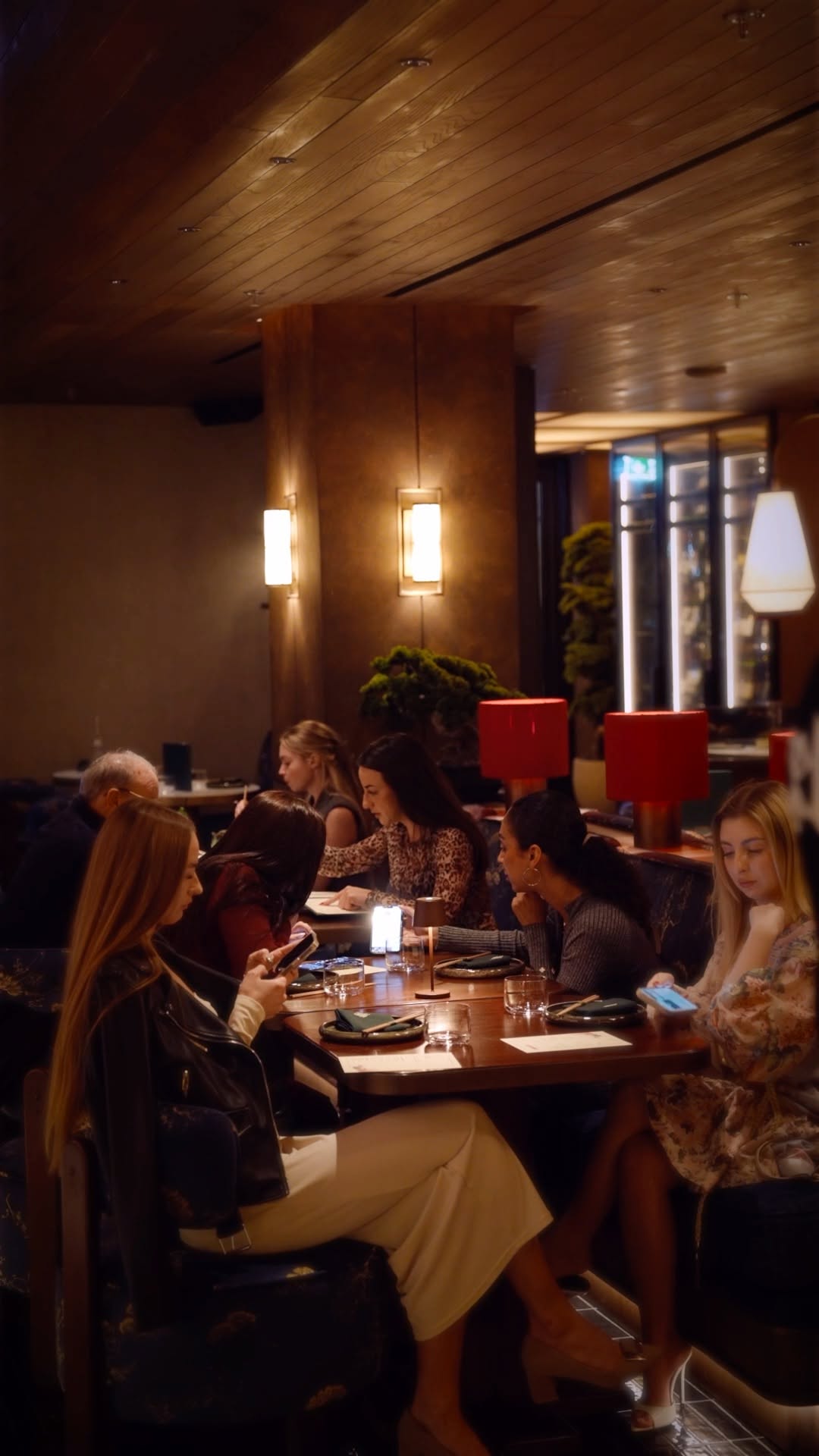 Kiyoshi: inviting atmosphere with happy guests