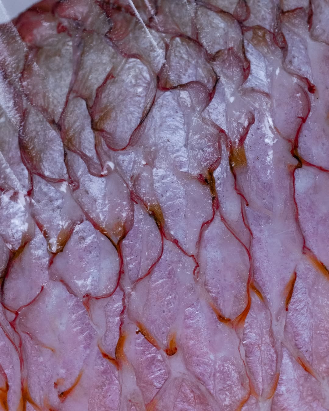 L'Abysse Dubai: high quality close-up food photography