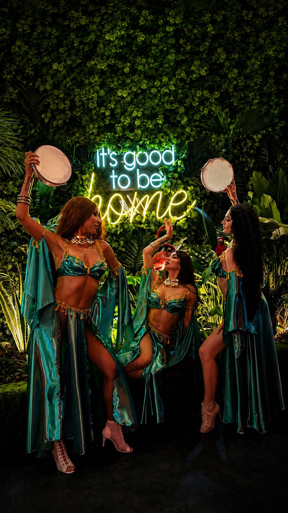 MOOD: professional photo of venue entertainment