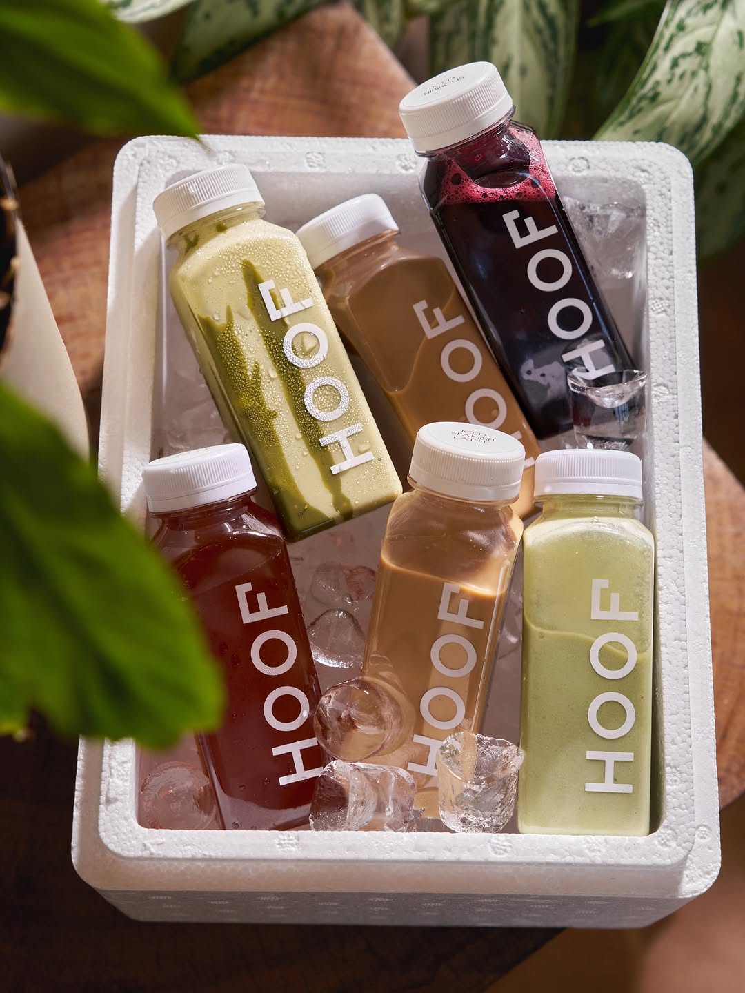 Hoof Misk: professional, high-quality product photography