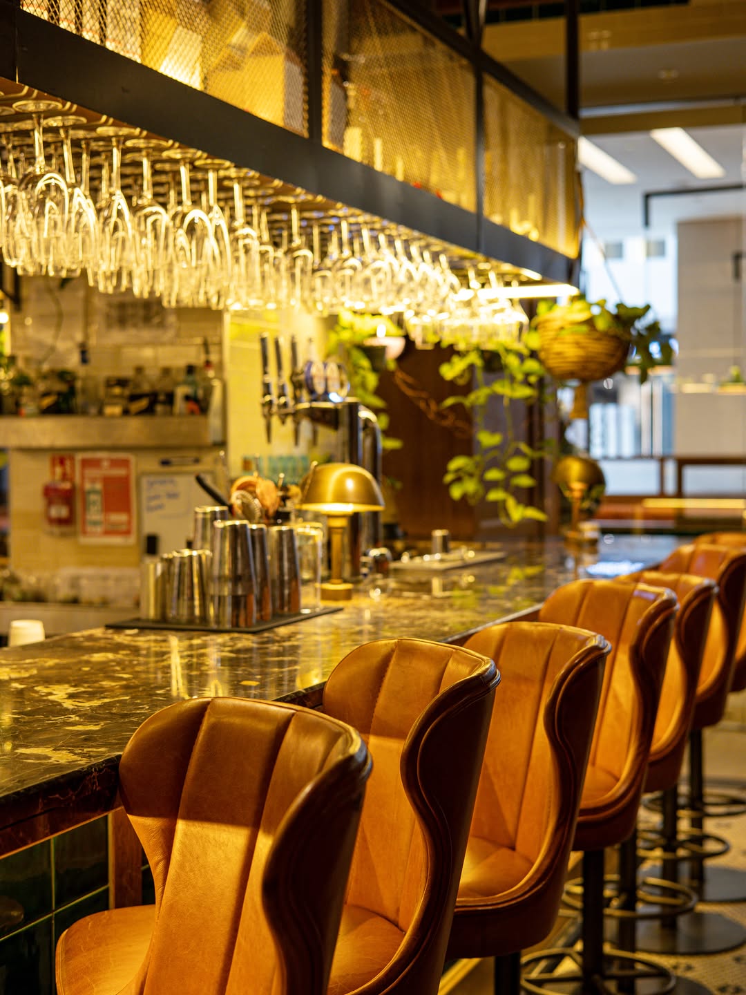 Medicine Bakery: high quality interior atmosphere shot