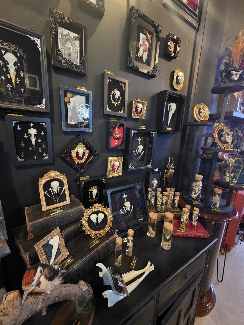 The Goths Playground: clear display of shop products