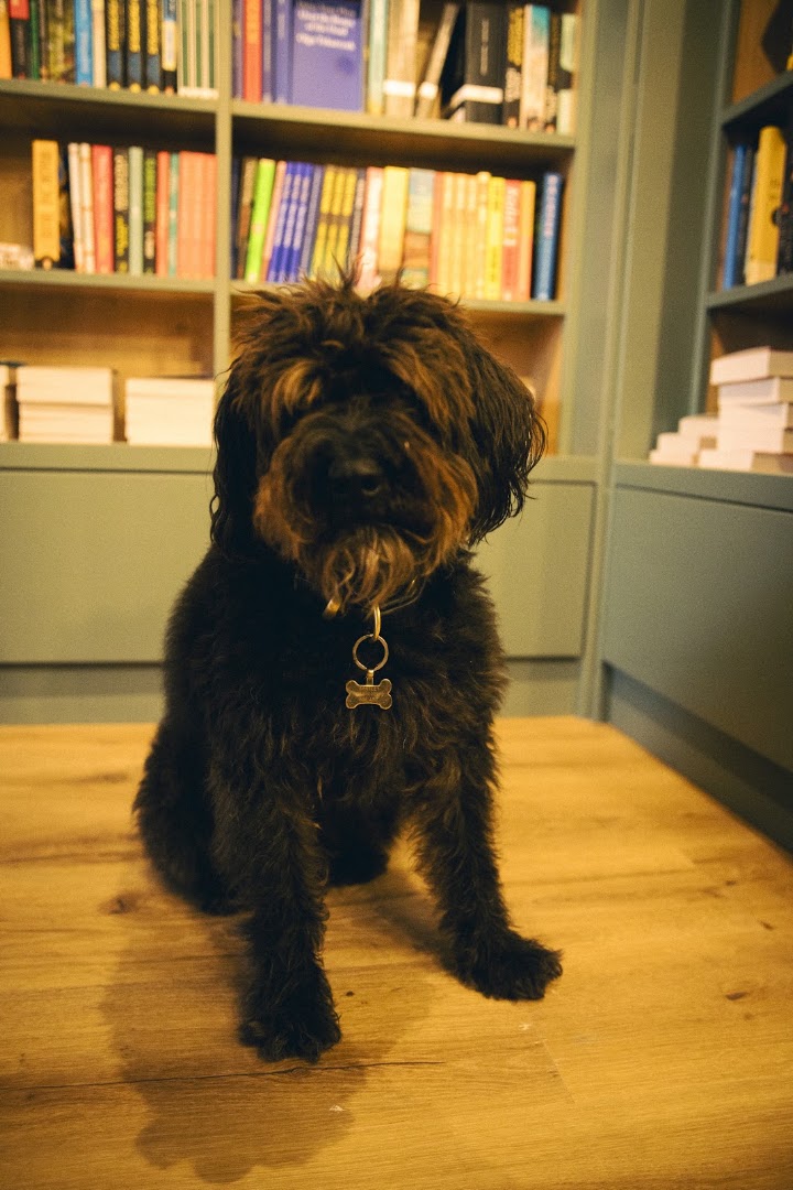 the BookCellar: charming shop mascot in store