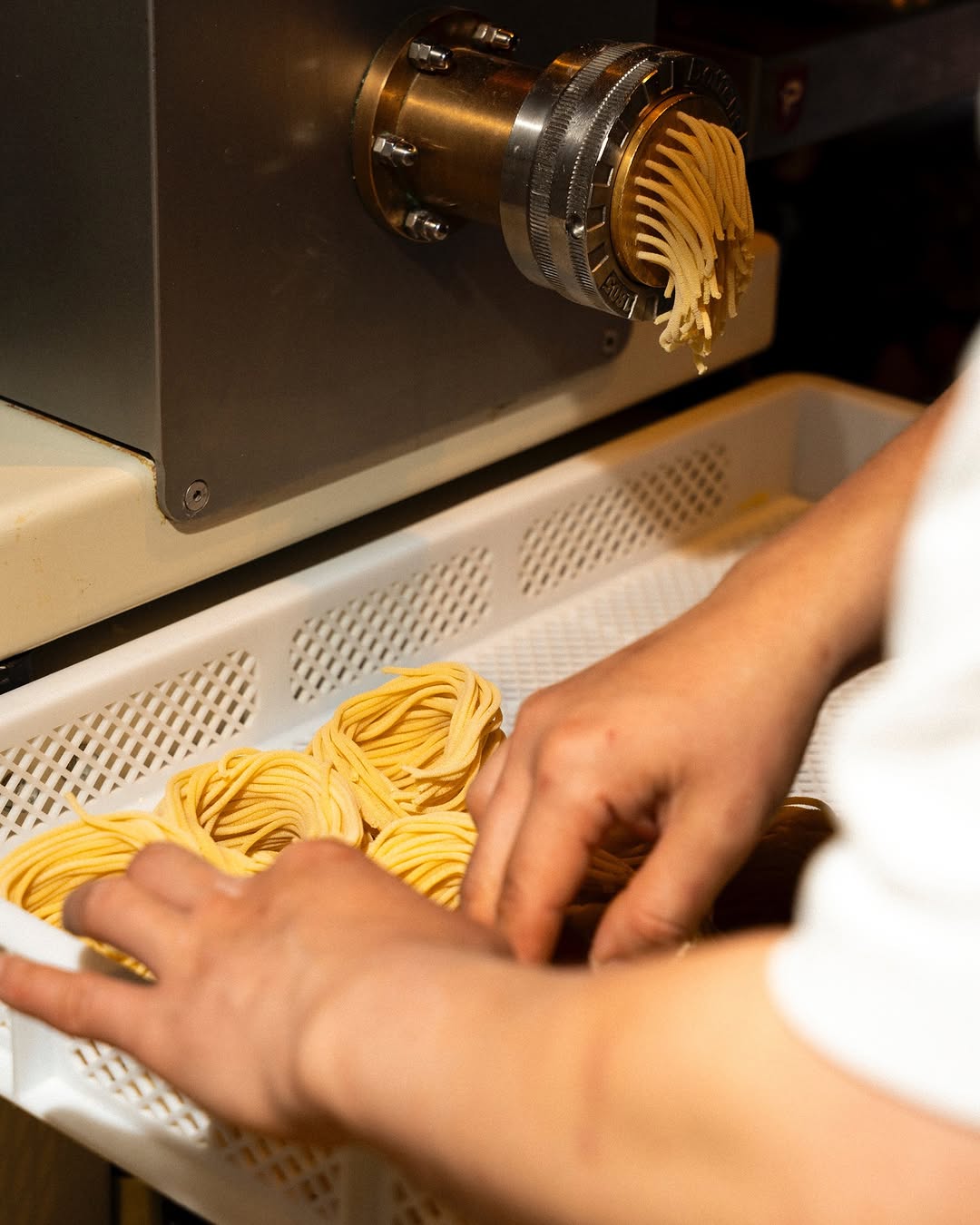 Pasta Cosa: high quality fresh pasta preparation