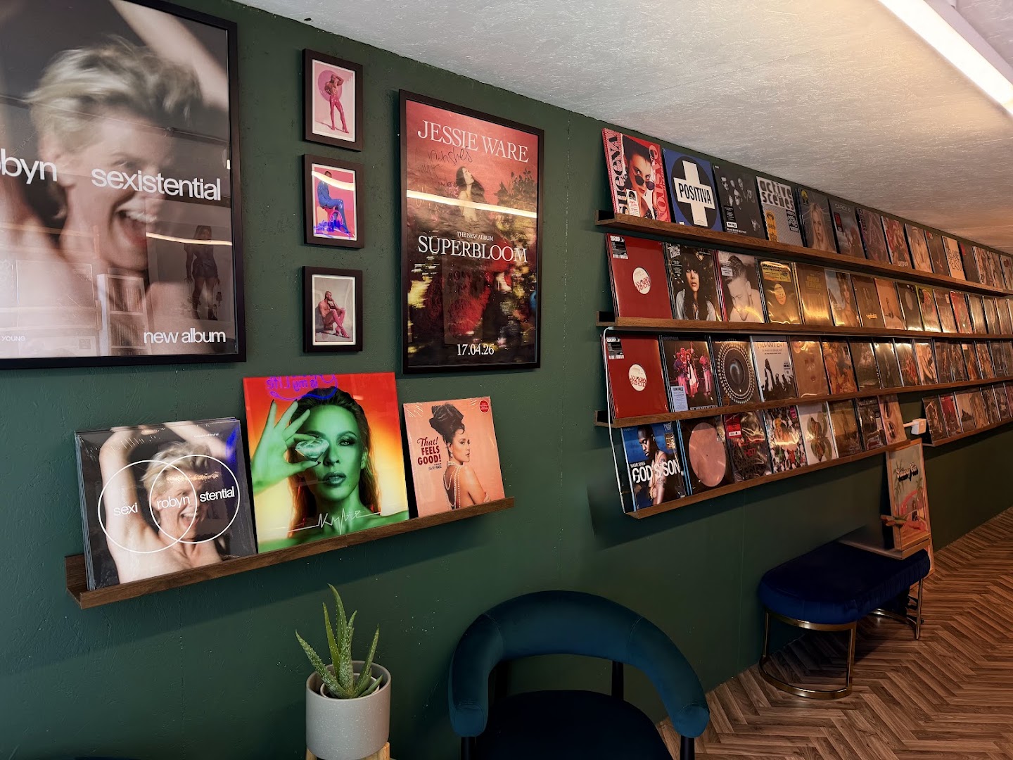 Vinylfetishes: clear, professional shop interior photo
