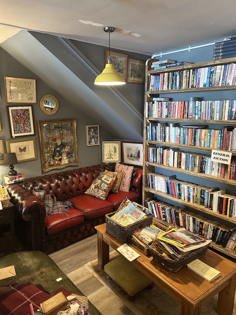 Cool Stuff Vintage: inviting and well-composed shop interior