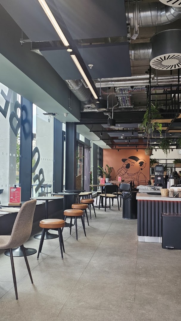 Drop Bear: clear, inviting interior atmosphere