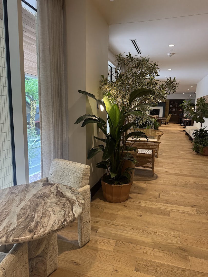 Daydreamer Coffee: inviting and clean interior shot
