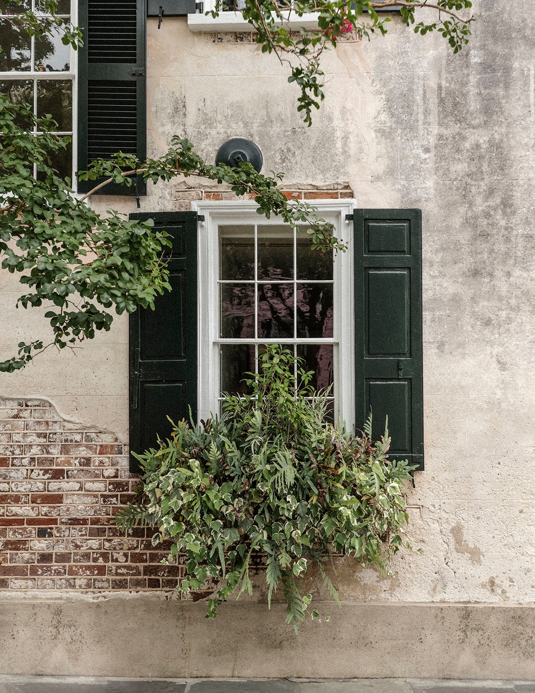Bar Daniel: attractive exterior architectural detail